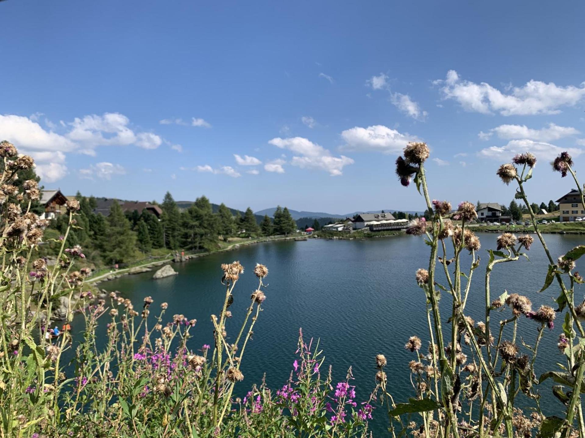 Gasthof Kirchenwirt Gnesau エクステリア 写真